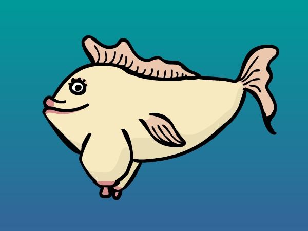 Tittenfisch.jpg