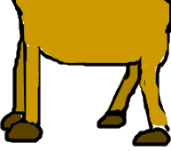Irisches Kamel Körper.gif