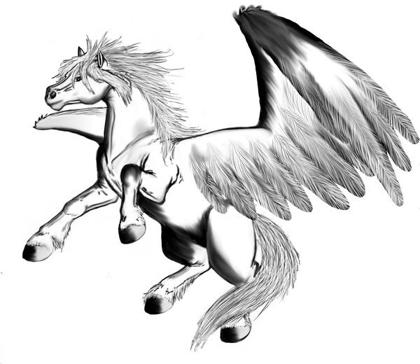 Roaring Pegasus.jpg