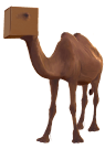 Camel in a box klein.png