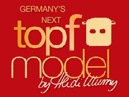 Next Topfmodel.JPG