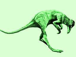 Kangusaurus.jpg