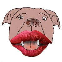 Datei:Pitbull mit Lippenstift.png