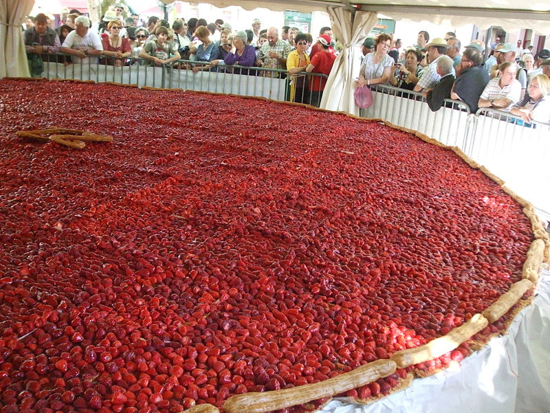 800px-Tarte aux fraises de 8 m France 1.JPG