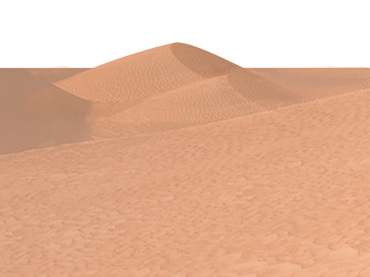 Fertige Wüste.png