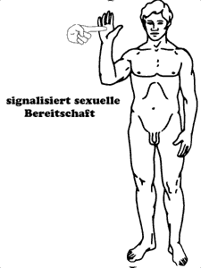 Maennliche-Anatomie.gif