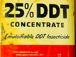 DDT.jpg
