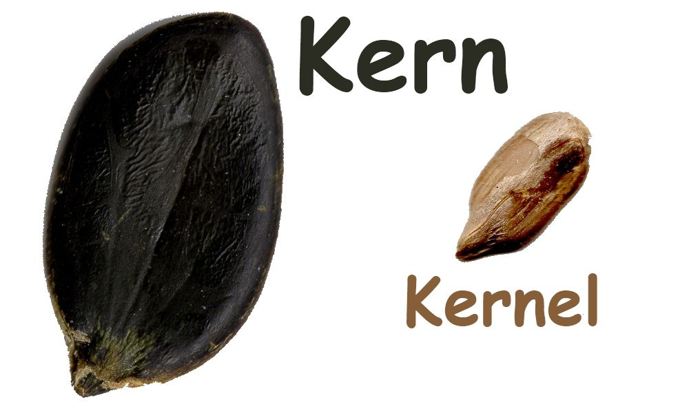 Kernel Kamelopedia
